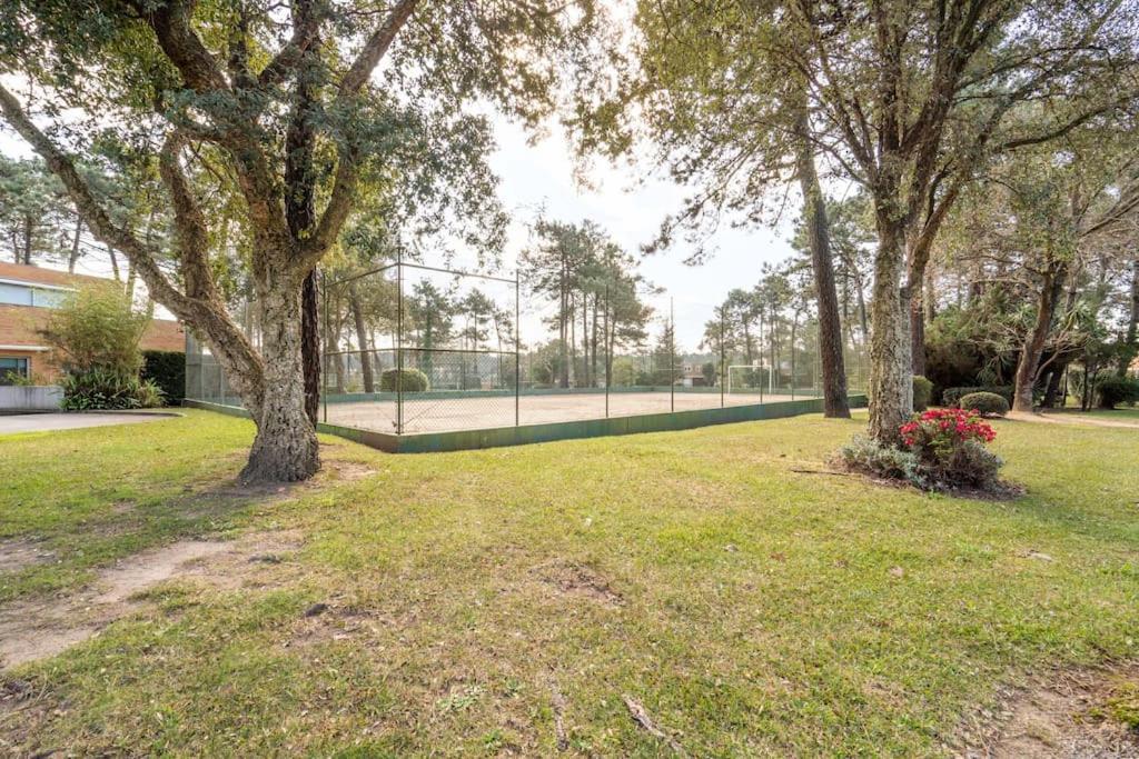 Quinta Da Barca Guest House Εσποσέντε Εξωτερικό φωτογραφία